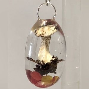 Tiny white mushroom with unknown tumbled stones at base